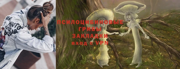 PSILOCYBIN Бородино