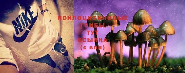 бошки Михайловка