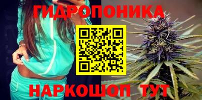 прущие грибы Бузулук
