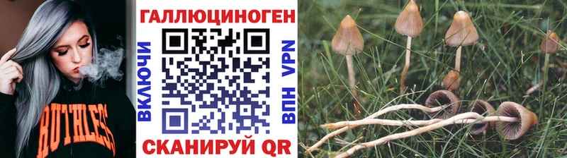 Псилоцибиновые грибы MAGIC MUSHROOMS Электрогорск