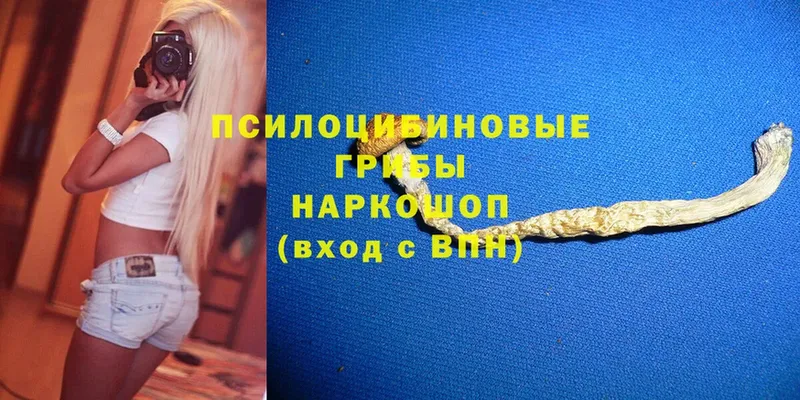 Псилоцибиновые грибы GOLDEN TEACHER  Электрогорск 