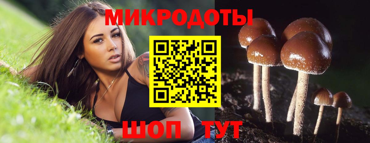 Галлюциногенные грибы MAGIC MUSHROOMS  купить наркотик  Вход с VPN  Электрогорск  Псилоцибиновые грибы Cubensis 