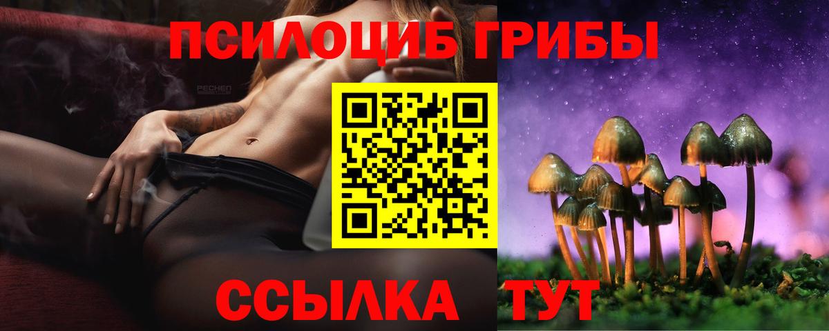 Псилоцибиновые грибы Psilocybine cubensis Электрогорск